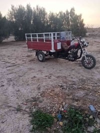 ستوته • موديل ١٣ • بابل الشوملي