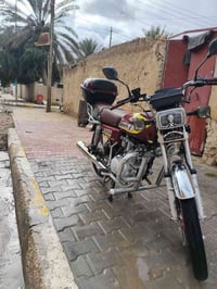 موديل 24 • مراوس • قير 4