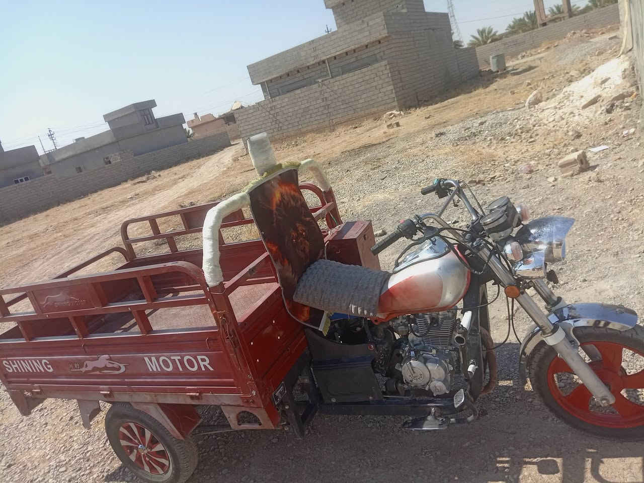 سلام عليكم ستوتة للبيع نضيفة مكلف بل نشر هذا رقم ابو الستوتة ***********👍
