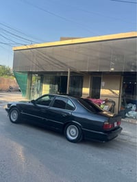 ١٩٩١ • زينون • أربيل
