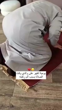 مقعد • شامل التوصيل • توصيل لكل المحافظات