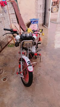 دراجة تايجر • ٢٤بوصة • الخالص جسر التحويلة