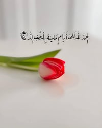 عندي قطعتين للبيع مساحة ١٥٠م واجهه ٥م ونزال ٣٠م  والثانيه مساحة ١٧٥موا...