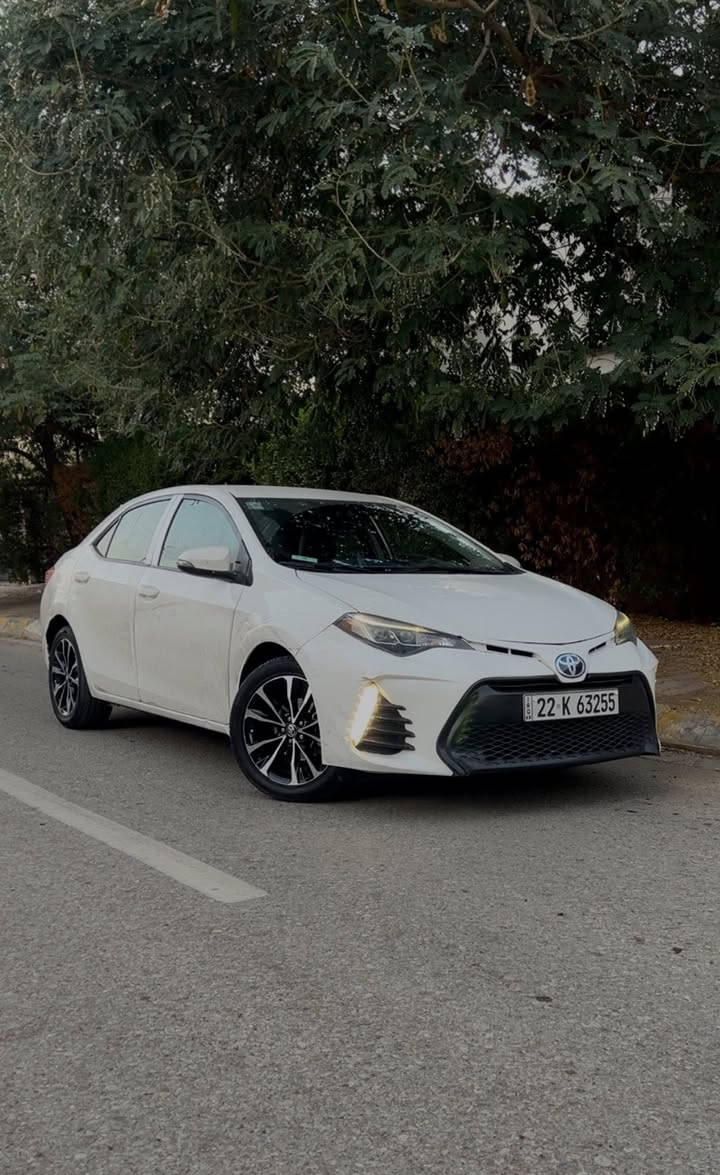 19
#كلين 

رقم اربيل 

سعر173وبي مجال

رقم***********

الموشراي ليتصل

غير متواجد عل فيس
