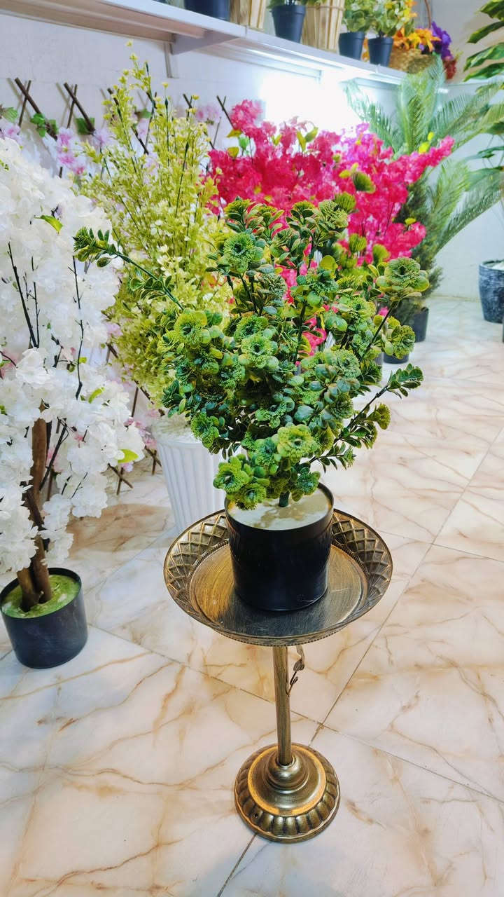 .اشكال وموديلات مختلفه من الأشجار الصناعيه🌳 ترضي جميع الأذواق🌴مقاسات مختله...
عنوان المحل #واسط قضاء #النعمانيه 
 الشيشان الجديد الشارع الرابع
  محل الغيث للتسويق  محل الغيث للتسويق المنزلي


**إذا كنت صاحب هذا الإعلان وتريد حذفه لأي سبب، رجاءا أرسل رسالة إلى الدعم الفني**