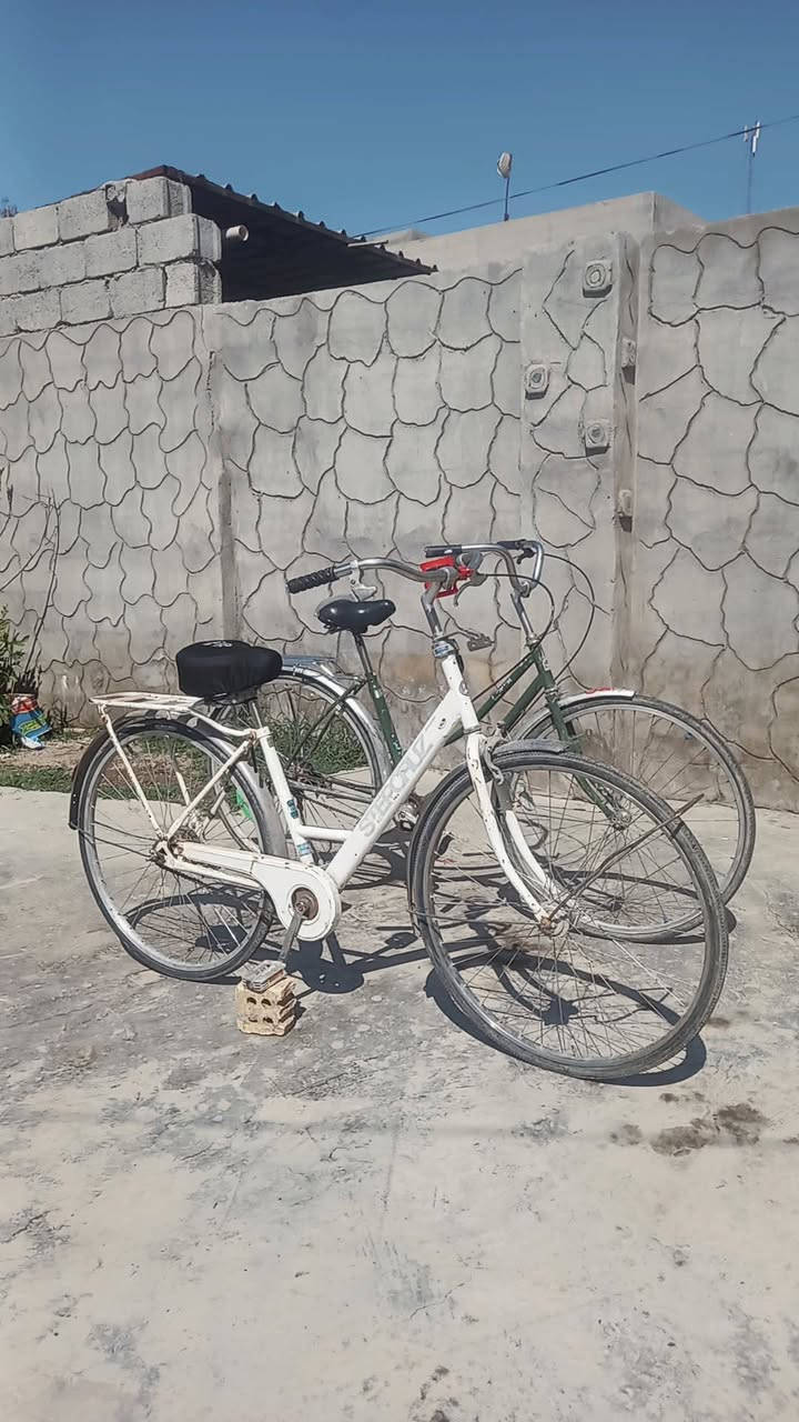 سلام عليكم باسكلات للبيع انضاف اي نقص مابيهن السعر الواحد 45وبيهن  مجال


**إذا كنت صاحب هذا الإعلان وتريد حذفه لأي سبب، رجاءا أرسل رسالة إلى الدعم الفني**