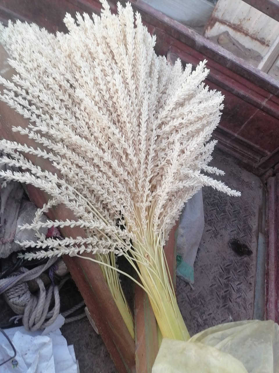 السلام عليكم لقاح الحجم الجبير للبيع هذا رقمي *********** شرط الواحد يعادل ٤ ستوني كصيتهن
