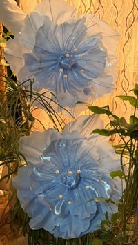 طلبية • زينة بيت • حديقة