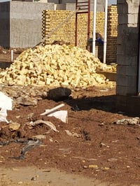 طابوق • درجة أولى • توصيل الكوت