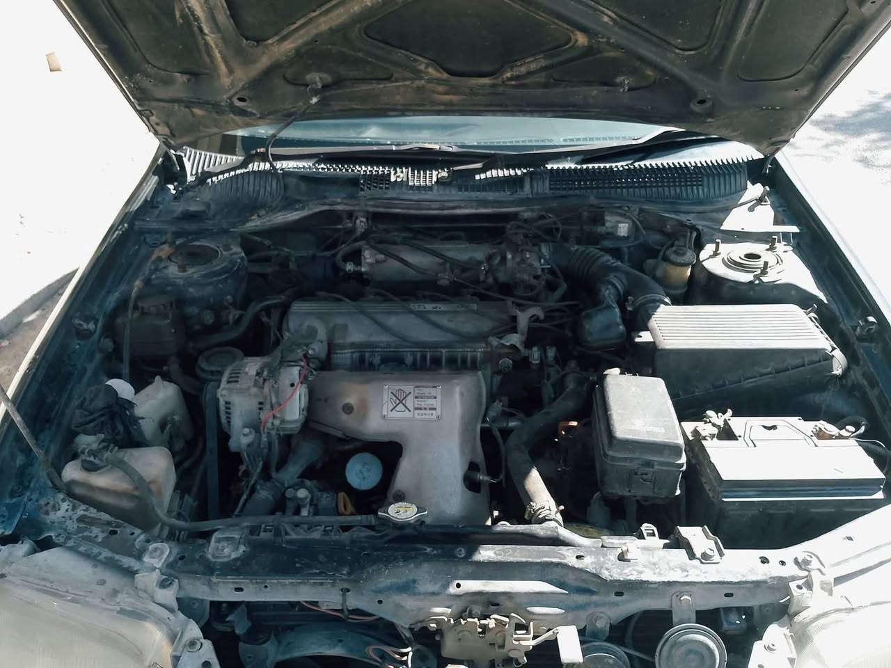 فرخ بطة موديل 94 مرشوشه جمالية بدون ضرر سيارة بسمي
محرك 18 ابو الكف تبريد تدفئة شغال
سعر 55 رقم ***********
