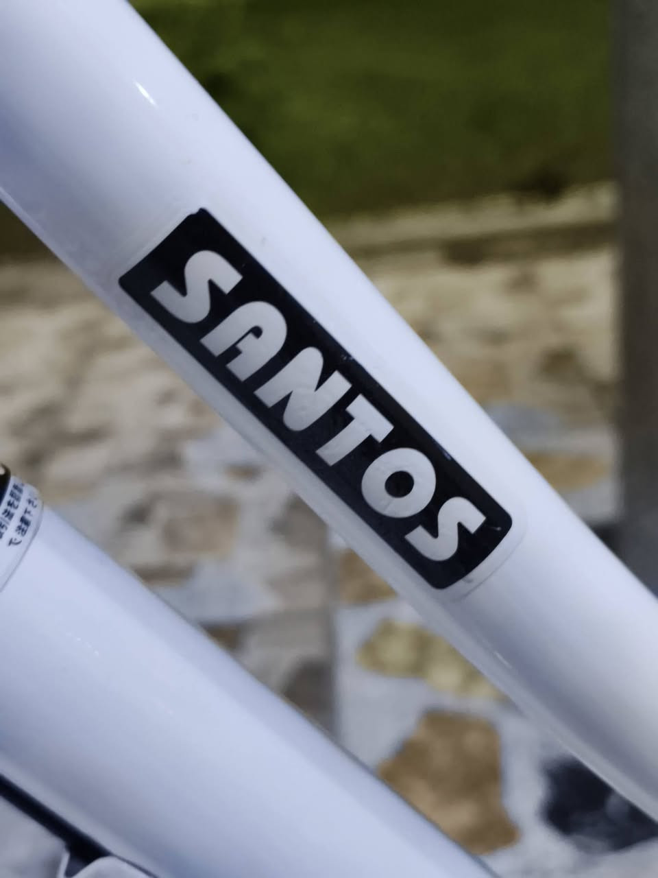 سلام عليكم باسكلSANTOS للبيع مكاني بابل الهاشميه الشراي يجي خاص المو شراي لا يتعبني فدوه 🫡


**إذا كنت صاحب هذا الإعلان وتريد حذفه لأي سبب، رجاءا أرسل رسالة إلى الدعم الفني**