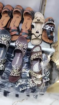 نسائي ولادي رجالي • جملة ومفرد