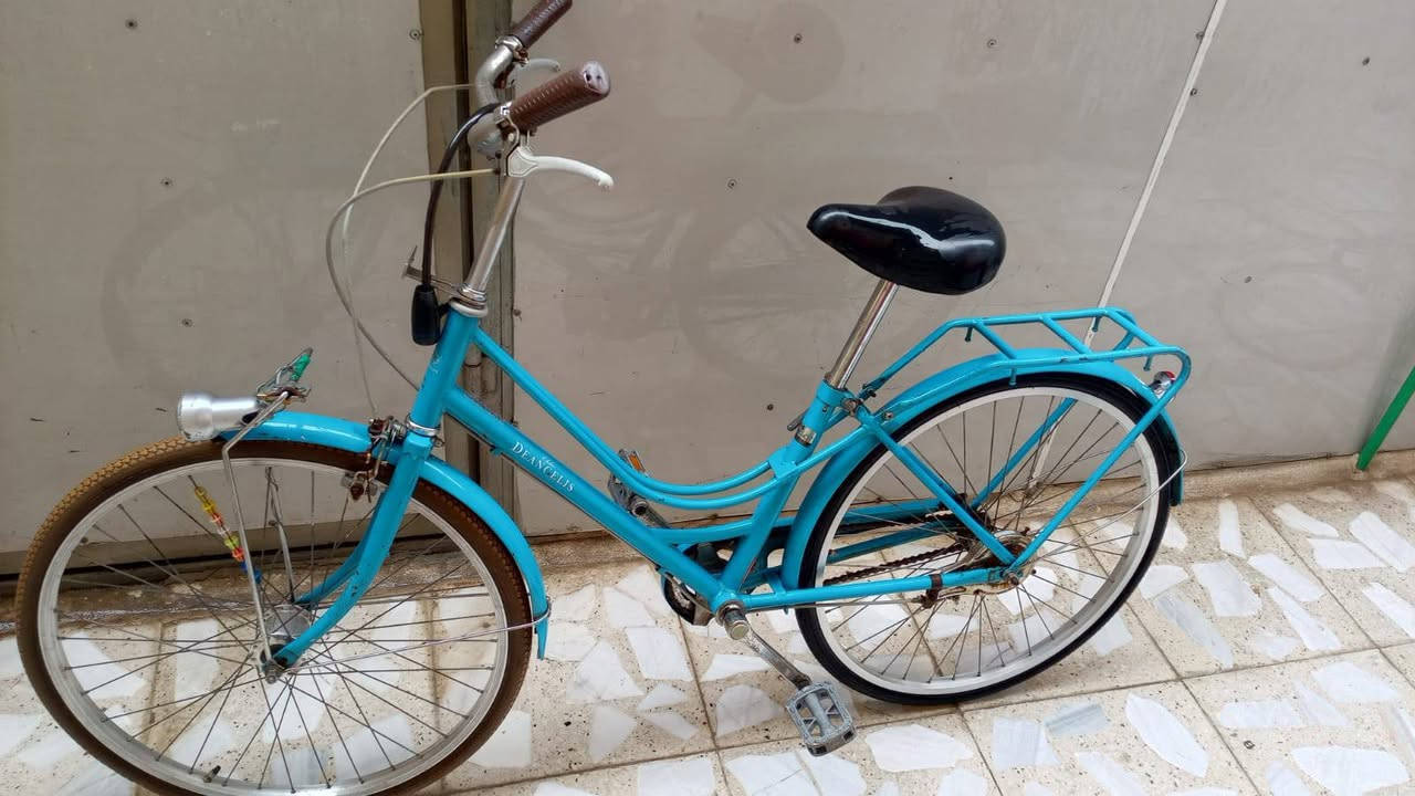 السلام عليكم
عندي بايسكل بطه حجم 24 بريك امامي وخلفي سعره 100 وبي  مجال بسيط حق الجيه للتواصل ***********
