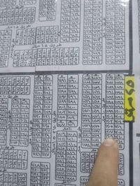 مربع الزيتون • ١٥٠م • باسم راعيها