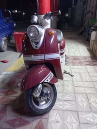 دراجه مصريه • سلف • حساس