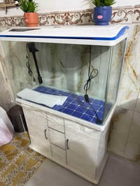 حوض سمك • فلتر تصفية • ينارة داخلية