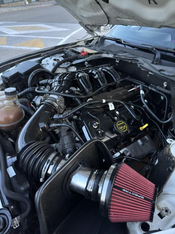 :- فورد موستنك v6 كشف ٢٠١٧
١_السياره ابيض صدفي 
٢_السياره محدث شيلبي GT500
٣_عليه دبات بورلا اتاك +يكس پايب +بواري 
٤_عليه شوته ماركه spektare موضوح بالصوره 
٥_السياره ستيج ١+تورك🔥+🐎pops💣+HP
٦_عليه دسكات ماركت بريمبو جديد
٧_اناره ليد متغير الاوان wifi داخليه ٢٧ لون 
٨_كفر مرايه كفر يدات كاربون لحيه دفيوزر  
٩_وياله قياس ٢٠ + ٢ سايز  التايرات جديده 
١٠_ليدات دفيوزر + الجانبيه مال الدعاميات 
١١_عليه ادامه كامله بلكات ونوزلات ودهن جديد motosel
١٢_السياره ماشيه 75 الف ماشاءلله جديده 
١٣_الغراض المزوده  بيه موجودات البيلاديات مالته 
السياره مصبوغه حزام ماعدا السندوق الخلفي واطراف الجام الامامي ضربته جاملق سكن بيه شويه دواخل بس بشرت السياره كاعده وبالحقيقه احله من الصور 

:-مكان السياره-سليمانيه-***********
:-سعر السياره ١٤٦ ورقه وبيه مجال قليل
:-السياره فقط للبيع بدون مراوس
