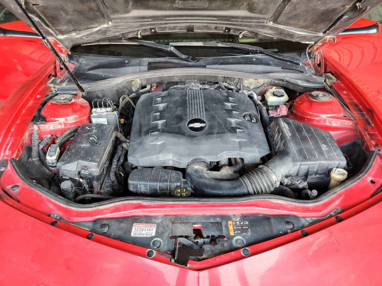 السلام عليكم اخوان العزاء
كمارو موديل 13 كير محرك كهربائيات بصوره عامه مكفوله ع البلاد فول مواصفات تشغير بعد كشنات كهرباء وهيتر كيجات يم لكير فتحت سقف لايت عدسات تخم تاير جديد تراية تشك الكاع محرك 360 رقم بغداد بسمي تحويل مباشر شاشه وكامره دواره عنواني بغداد ابوغريب *********** سعر 105 وبيهة مجال واذا اكو مراوس حسب القناعه سونارهة مرفق
