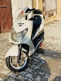 سكنس فحل للبيع دراجه شوفت عنيكم خير من الله مصار هواي من منزلها بيها ع...