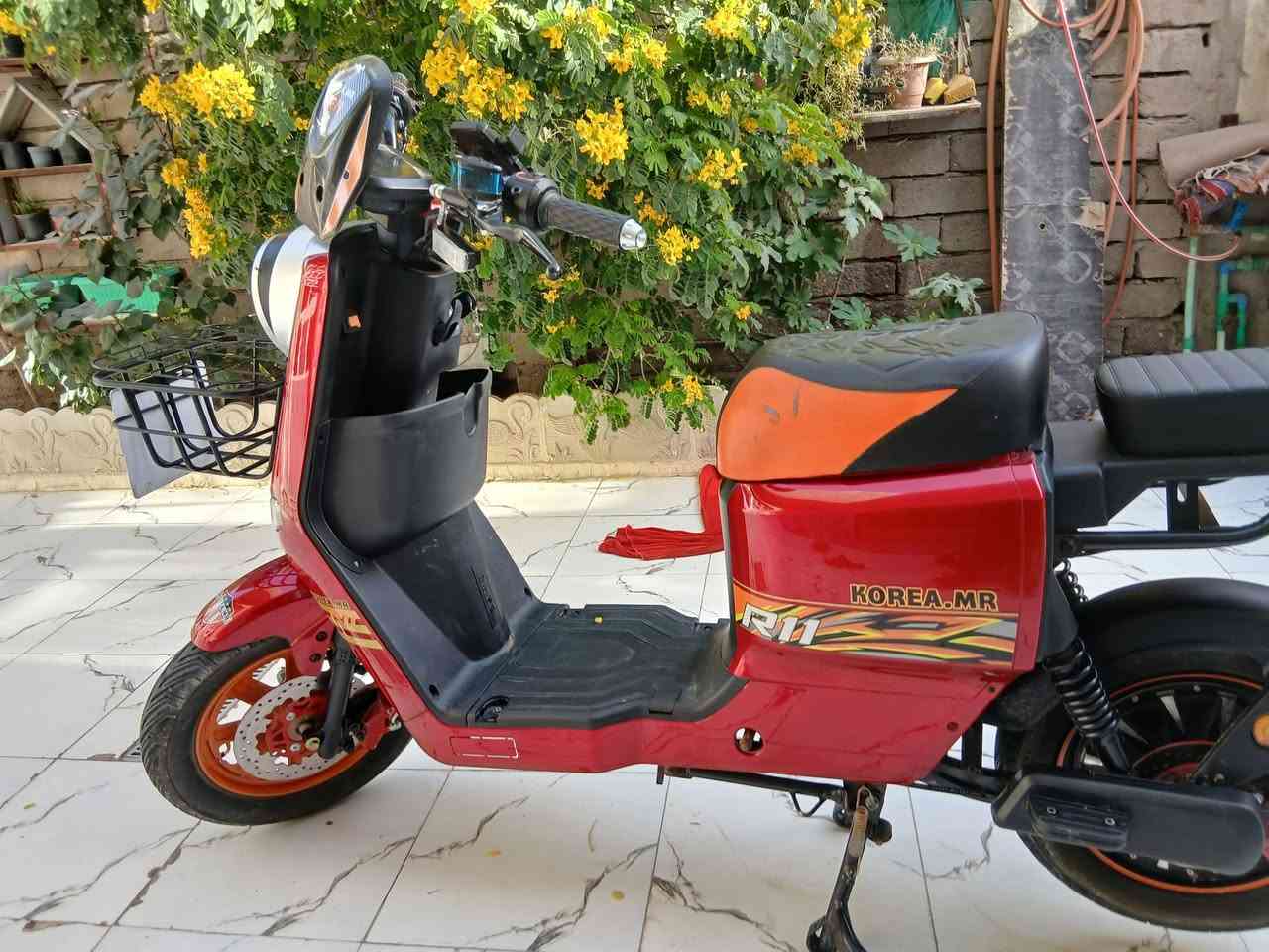 سلام عليكم  دراجه  شحن  R 11 2026 نضيفه استخدام اقل الشهر  مثل ماواضح بل صوره بطاريه 32ولي اصليه ٥ بطاريه السعر على الخاص ***********
