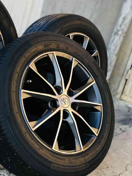 ئه م تايه ويله مان هه يه بوو فروش يان گورينه وه به شتيك به دلم بيت ماشاءالله سفر سفر ويله كان بى كيشيه يه
به يارمه تى ئادمينى دل ❤️🥰
***********
***********
