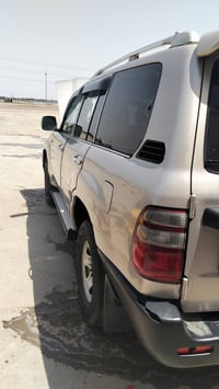 مونيكا كاز • ٢٠٠٣ • بصره