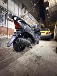 ثعلب • رمبه • كفلا عامه