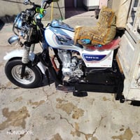 ستوته • موديل ٢٠٢١ • اوراق كامله