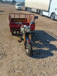 ستوتة • موديل 14 • عزيزيه