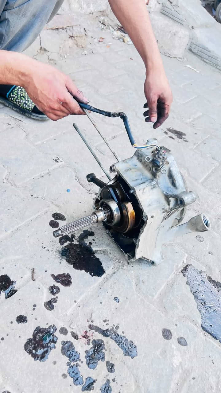 غراض مكينه مال120
جوه سوك كلمن وسعره كلشي موجود

مكاين فشك فلاوين ملف كور بوشه55 تفضل  خاص


**إذا كنت صاحب هذا الإعلان وتريد حذفه لأي سبب، رجاءا أرسل رسالة إلى الدعم الفني**