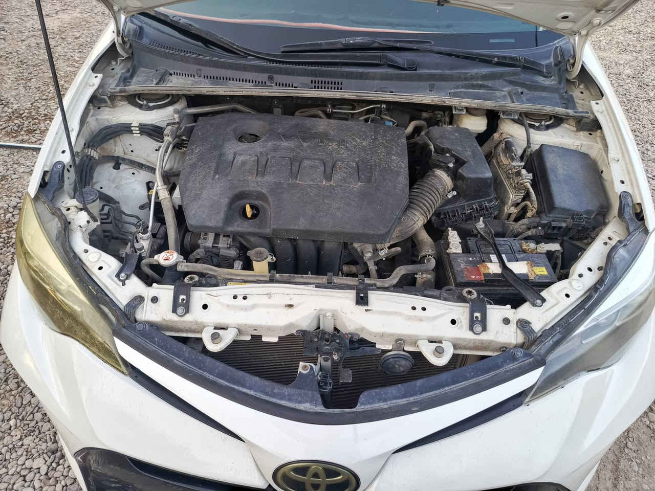 كورلا 19 للبيع 

4 قطع se + الگير يرادله تجفيت 

سنويه لل 27 

السعر 100 قفل 

***********
