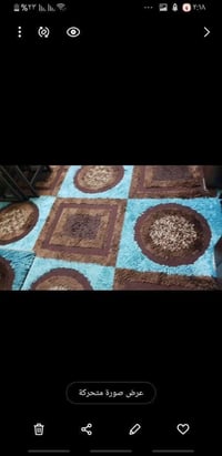 سجادة • موسم واحد • القاهره