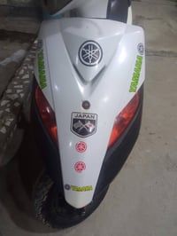 ثعلب ماكس 140 • بوشه 55 • نضيفه