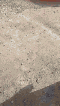 دار للبيع المساحه 100م 10*10شارع ابو احمد بنهايه يحتوي على غرفه استقبال وغرفتين نوم ومطبخ تتوفر خدمات ماء وكهرباء للاستفسار الاتصال على الرقم ***********
