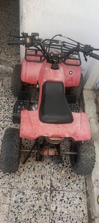 الزنجيل • يفلت • ما بيه ضرر