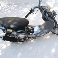 ماكس منغولي • شغاله • ناصريه