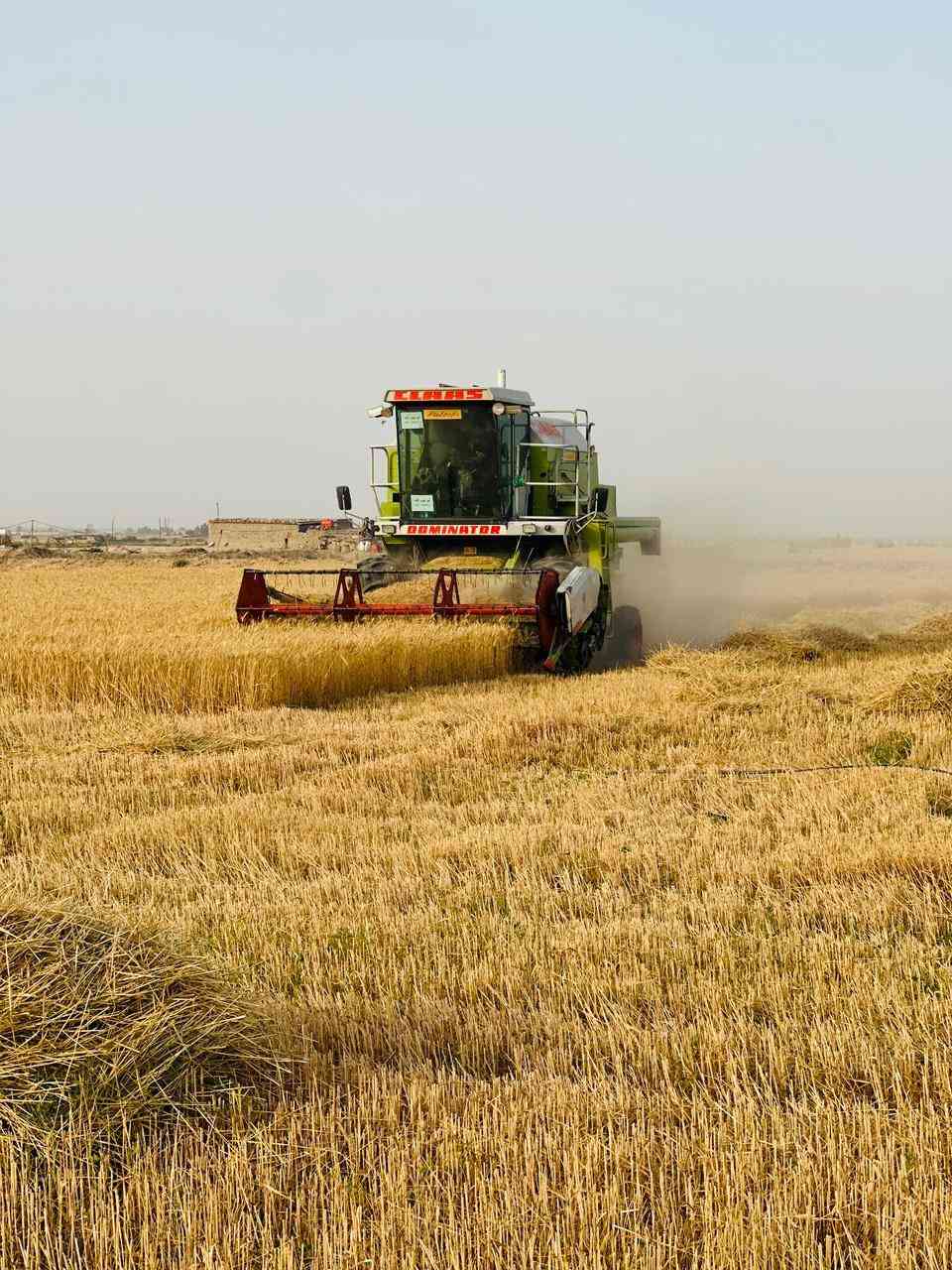 حاصوده كلاس 2003 مديومه وجاهزه مكفوله وموصفاته حلوه الشراي يتصل ***********
