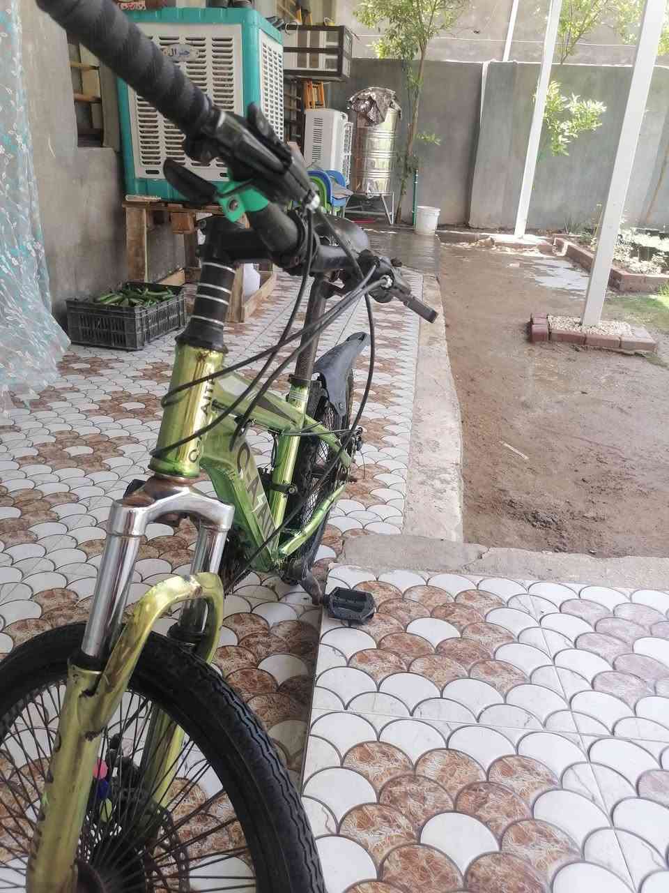 سلام عليكم شباب باسكل جبلي للبيع السعر خاص المكان حله ناحيه النيل قريه الصياحيه مقابيل كوين بارك رقم ***********
