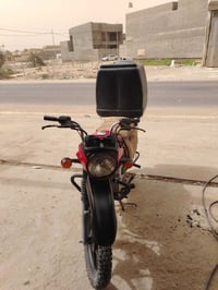 بوكسر • سلف • مكفوله