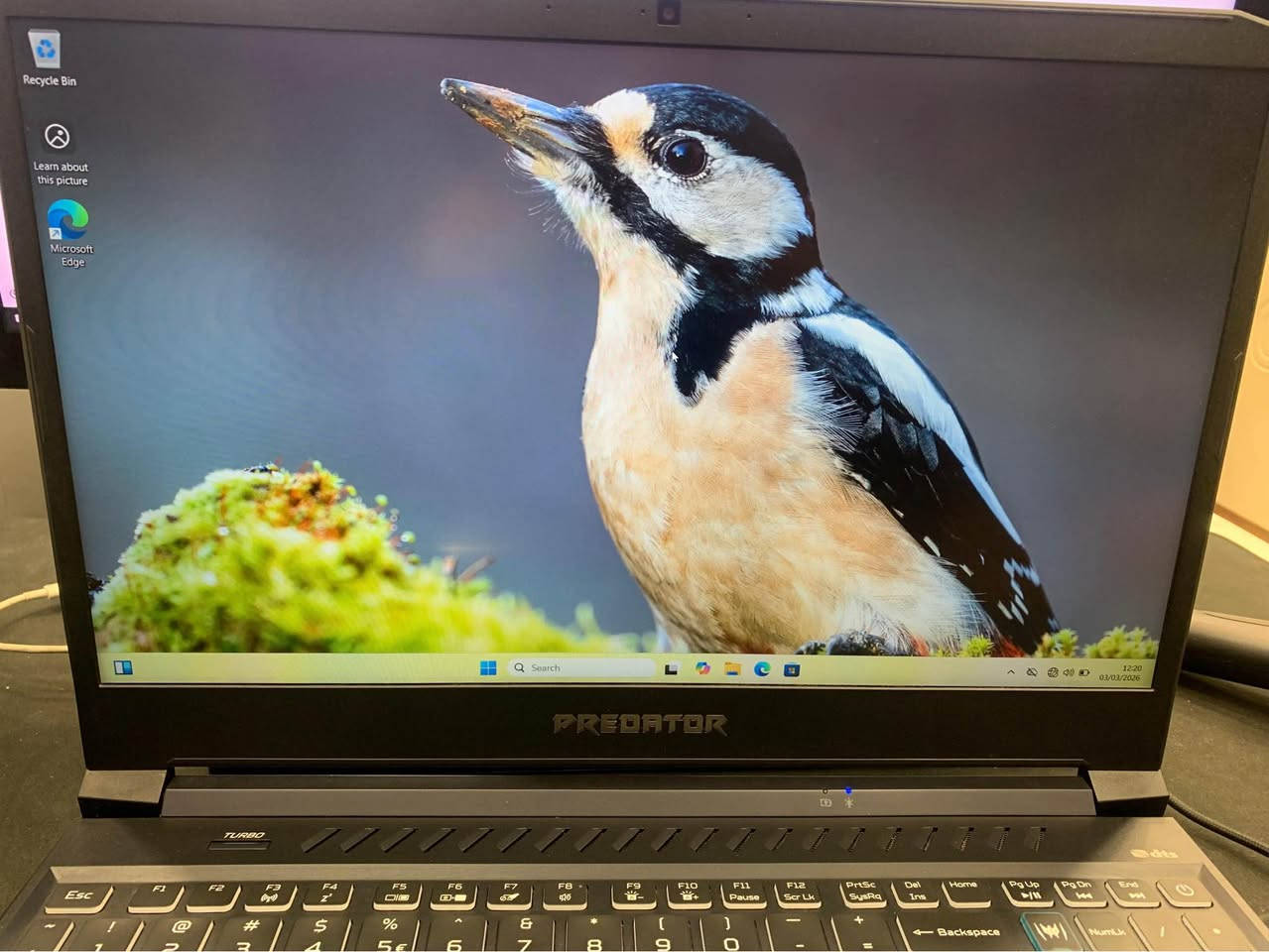 🔥 عرض لابتوب ألعاب قوي بسعر منافس 🔥  

💻 Model: Predator Helios 300  

⚙️ المعالج (CPU): Intel Core i7-10750H  
🧠 الرام (RAM): 16GB DDR4  
💾 التخزين (Storage): 1TB SSD NVMe  
🎮 كرت الشاشة (GPU): RTX 3070 8GB خارجي  

✅ يشغل أغلب الألعاب الحديثة بسلاسة  
✅ مناسب للألعاب الثقيلة، التصميم، والمونتاج  
✅ سرعة عالية جداً بفضل NVMe SSD  

💰 السعر: 787$ فقط  

🚚 متوفر توصيل لجميع المناطق  
📩 للحجز أو الاستفسار راسلنا خاص أربيل, العراق


**إذا كنت صاحب هذا الإعلان وتريد حذفه لأي سبب، رجاءا أرسل رسالة إلى الدعم الفني**