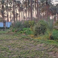 قطه ارض للبيع باب بغداد قرب فندق البارون شارع السيده زينب عليها السلام...