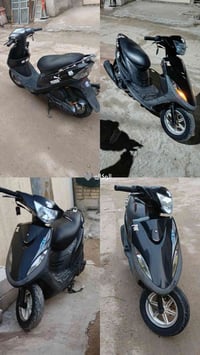 ماكس • كفالة عامة • اسبوعين