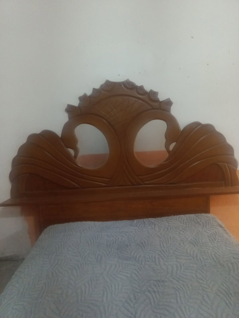 تاج جربيه تسكام السعر 35


**إذا كنت صاحب هذا الإعلان وتريد حذفه لأي سبب، رجاءا أرسل رسالة إلى الدعم الفني**