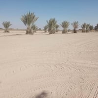 بقريت الناطو • خدمات كاملة • كهرباء ثلاثي