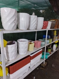 #ياعلي بفضل رب العالمين تم وصول وجبه جديده من النباتات والازهار الداخل...