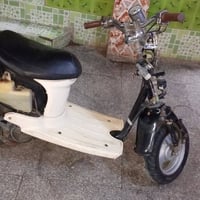 مصرية • معدل فول • شلعة