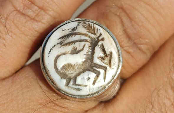 العطف الأصلي القديم للبيع ***********
