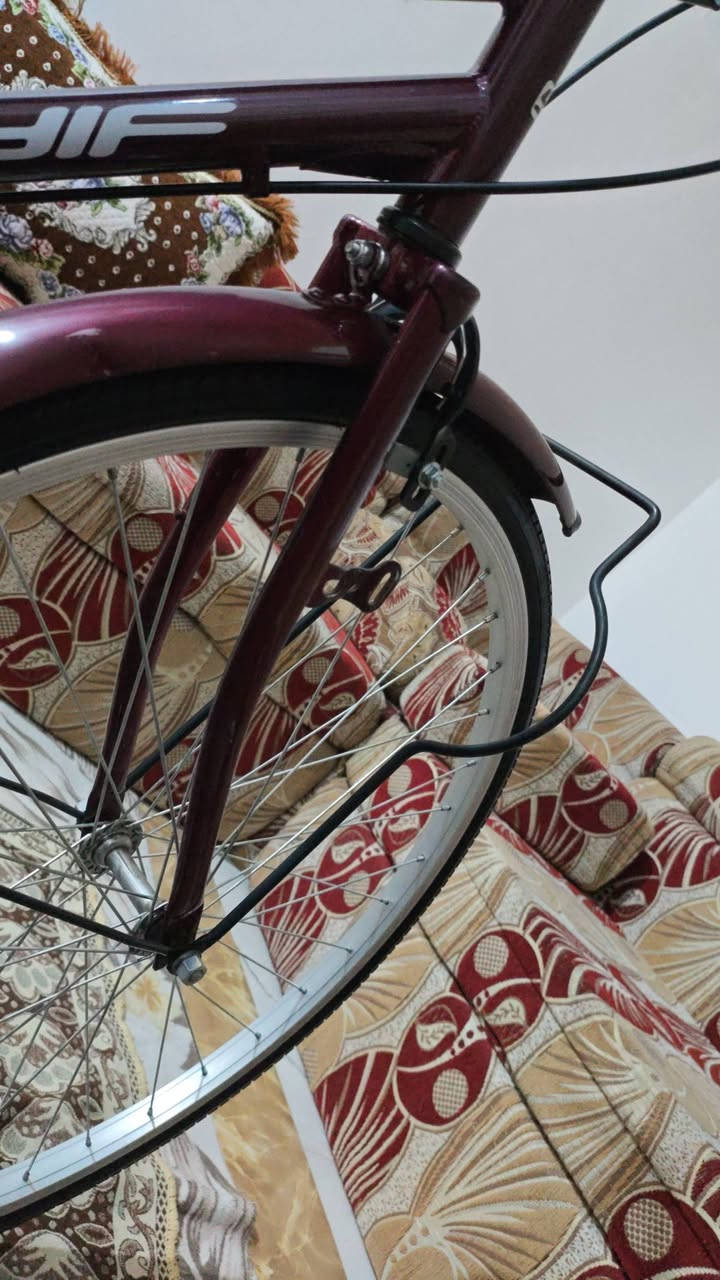 بايسكل سياحي اخو جديد  
لون ماروني 
موديل بايسكل 2024
ولا مرا عطل يمي 
بايسكل مو تجاري 
اصلي
سعرة 140 وابيها مجال
مكاني في المحافظة البصرة الجزيرة باب هوى قرب اسواق المرتضى 
🌿يحب يتواصل وياي في واتساب ***********🍃
