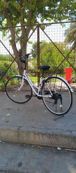 السلام عليكم بايسكل للبيع وضع شركه موديل 21 اللي يريد ينتصر على الرقم لا حد يجيني خاص يدق على الرقم 
***********
