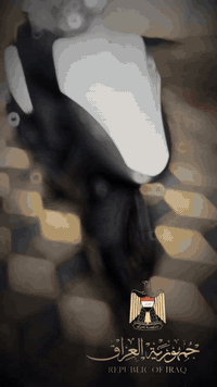 ماكس مكفوله بلاديه مامفتوحه 49جيب فيتر وفحص مكينه طياره كلشي شقال سلف هندر لايت اشايرهورن  تايرات جدد بقفل جنطه قفل سيتيىن جديده الله يشهد مكينه خرسةحيل المكان البصره الكرمة علي رقم ***********السعر 900وبيه مجال متواجد واتساب
